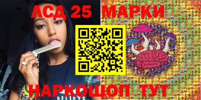 спайс Тара