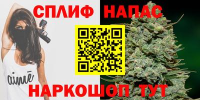 спайс Тара