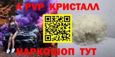 спайс Тара