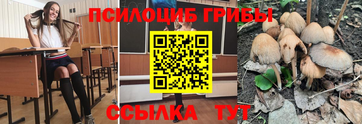Миллерово  купить  сайты  Вход с VPN  Галлюциногенные грибы GOLDEN TEACHER 